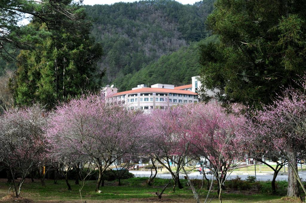 Hoya Resort, Wuling Heping  Dış mekan fotoğraf